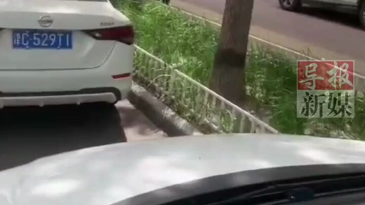 学生被大妈拉着扫码，男子“出口”相助令网友称赞，网友：为好心大哥点赞！