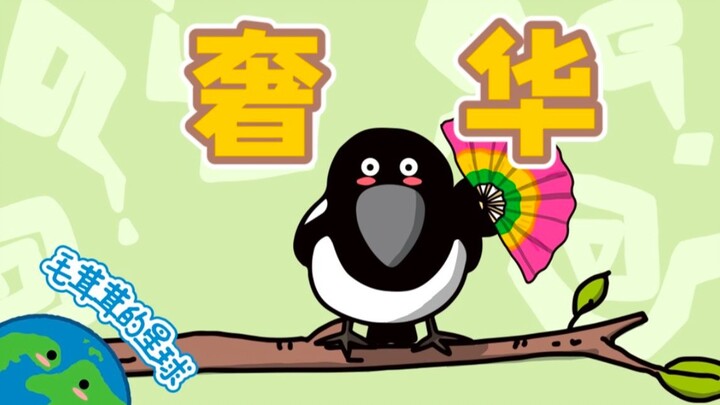 【Magpie】The Luxurious Powerhouse Who Uses Pure Skill to Help People Find Love!