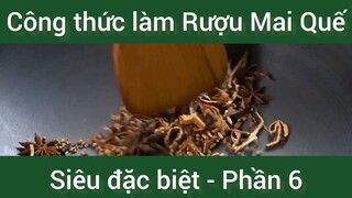 Công thức làm Rượu Mai Quế siêu đặc biệt phần 6