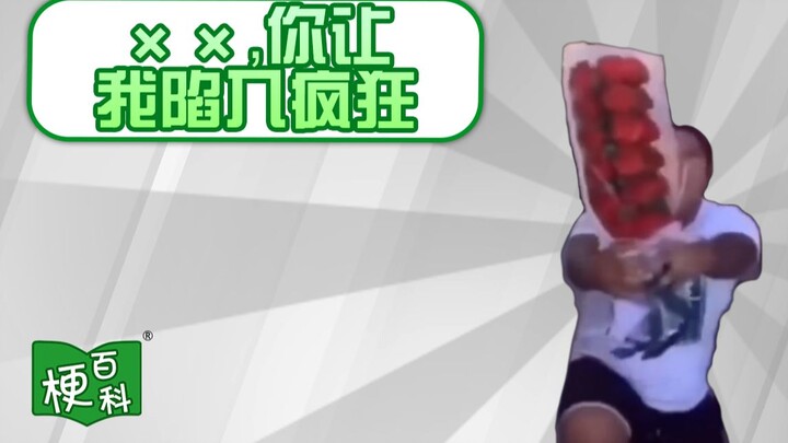 【Bách khoa toàn thư Meme】XX, Em làm anh phát điên - Quá khứ Đông Bạch