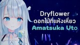 Amatsuka Uto | DryFlower [ซับไทย]