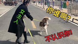 Apakah para anjing bisa mengenali majikannya yang menyamar sebagai orang asing?