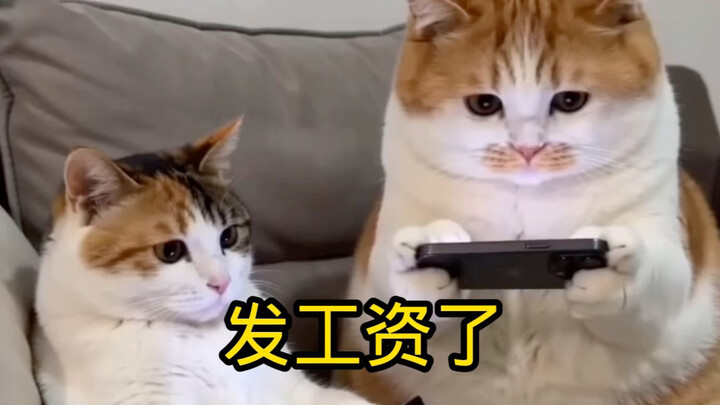 Đã đến kỳ nhận lương