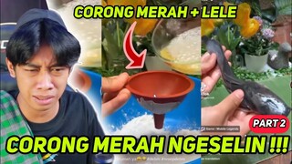 RESEP MASAK DEBM PALING SES4D ‼️