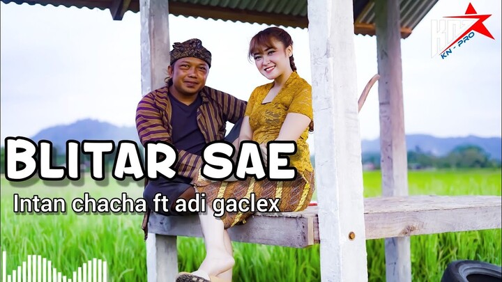 INTAN CHA CHA FT. ADI GACLEK BLITAR SAE