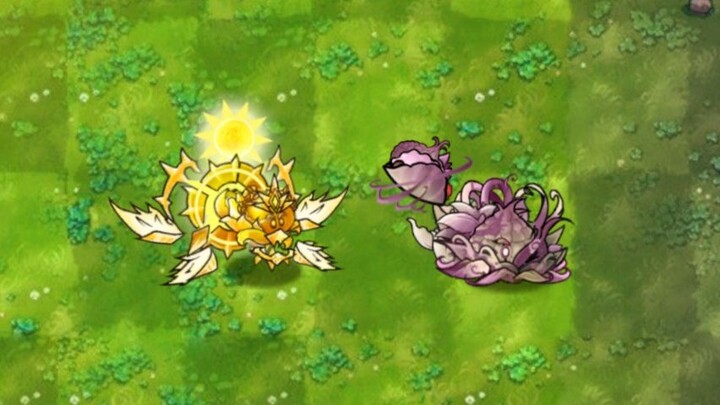 แนะนำพืชฟิวชันสำหรับการสร้างสรรค์ต่อ: จอมท็อปไฟนอลซังฮุย โคโรนา โซล เดอะ ก็อด กับเหยือกจานผักผลไม้พิ