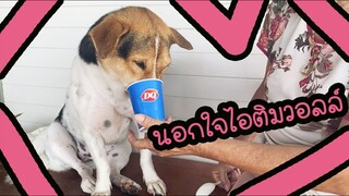 โลกของแสนดี ตอน ขอนอกใจไอติมวอลล์