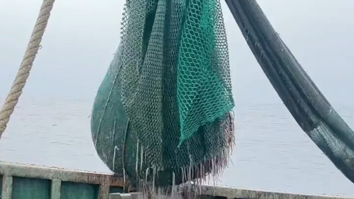 Latest Seafood Price List at Guangdong’s Largest Fishing Port in Western Guangdong, July 15