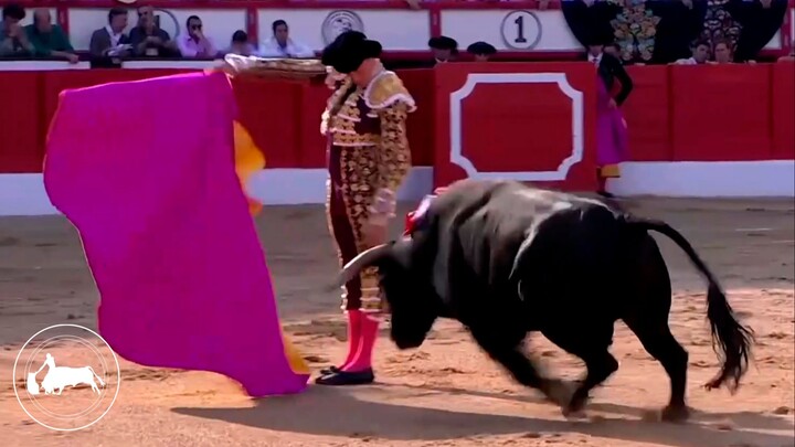 Andrés Roca Rey, primer toro, Feria del Norte, Santander 24-07-2026, Onetoro TV