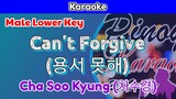 Cha Soo Kyung (차수경) - Can't Forgive (용서 못해) (Karaoke : Male Lower Key)