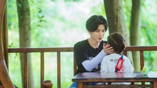 【陈哲远|猫咪哥哥】夏天的风(这个夏天的限定快乐)