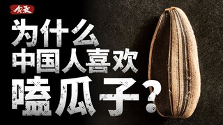 [Food Record] Why do Chinese people like to eat melon seeds so much?