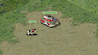 Why a tank with a dog?