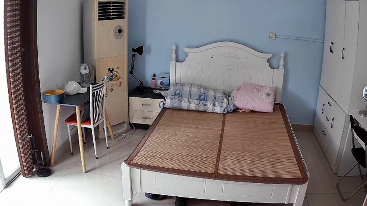 The mat biting cat incident