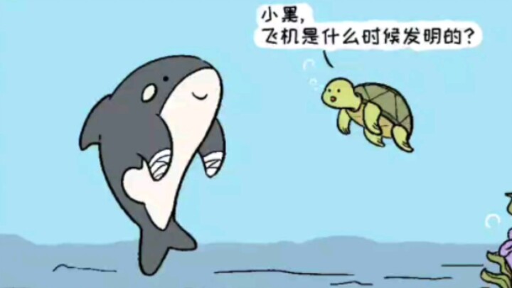 ประวัติศาสตร์