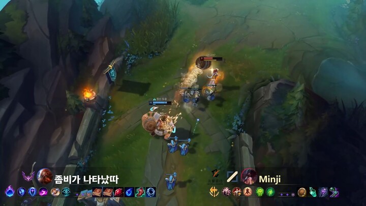 Korea Challenger - Pro Plays Highlights!!! #40