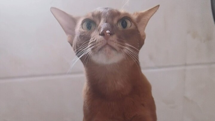 总有人想看我俩不博弈是什么样子 请看vcr