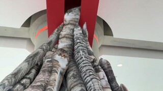 A mountain of corpses, the king's gaze!