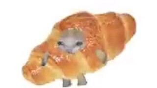 Kucing Croissant