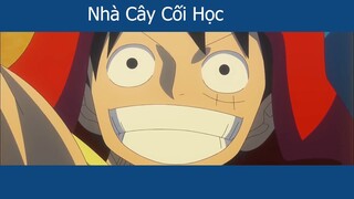-Nhạc anime - Nika- The Sun God「AMV」One Piece - My Fight ᴴᴰ #nhạc anime #schooltime