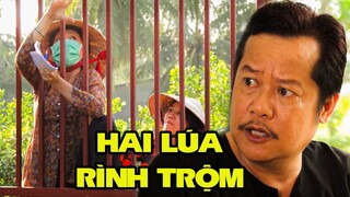 PHIM TẾT VIỆT NAM HAY 2023 | HAI LÚA RÌNH BẮT TRỘM | PHIM TẾT TÂM LÝ TÌNH CẢM VIỆT NAM CƯỜI TỚI TỐI