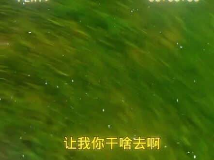 Có gì đó không ổn
