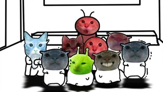 Kimi Elementary School: Mao Mao has a unique way of staying warm