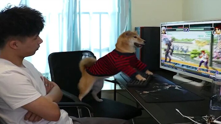 Tổng Hợp Những Tình Huống _HÀI HƯỚC NHẤT