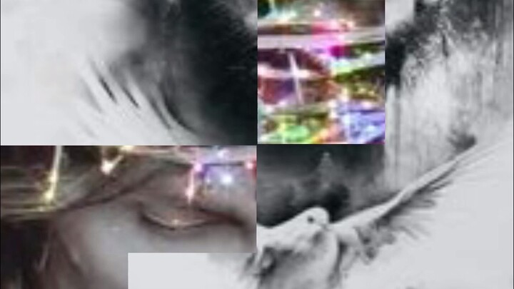 Jesus Christ#viral#amen