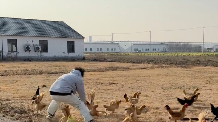 Gà nướng lò môn Khoa 4 Quảng Tây