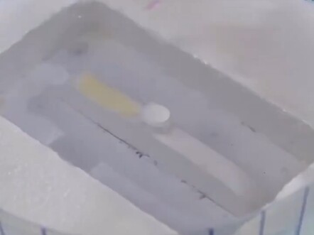 Sebaiknya tambahkan lampu di dalam ini agar lebih cantik