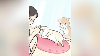 😿 pet mèo cute QuocKhanh2021 ONhaVanVui