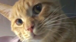 退一步越想越气
