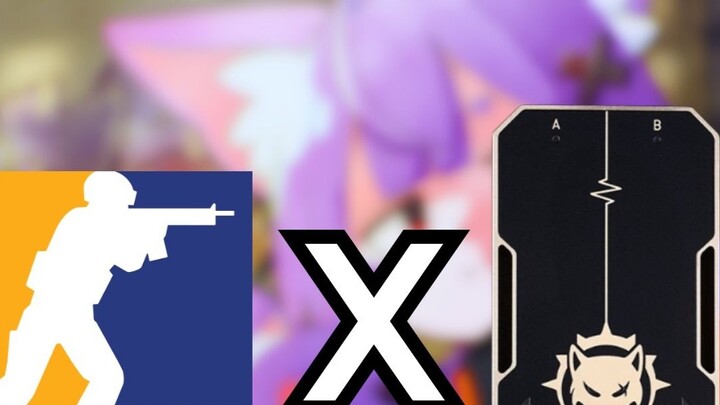 【Coyote vs CS】What will happen if you play CS2 deathmatch with Coyote?