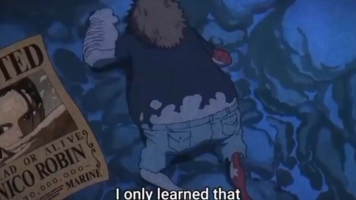 penjahat dari one piece