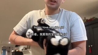 谁家猫猫一天睡18个小时
