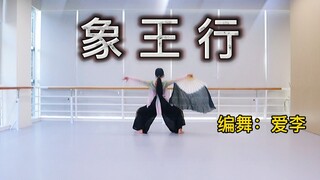 <1000支原创系列>飒爽女将风！《象王行》