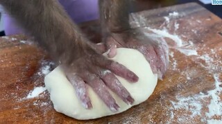 Những con người ngốc nghếch nhất hành tinh #86