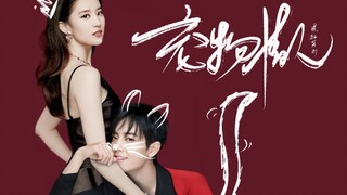 Phiên bản Station Couple [Người yêu thú cưng] {Liu Yifei x Xiao Zhan} Khi "cuộc chiến chó sữa" gặp "