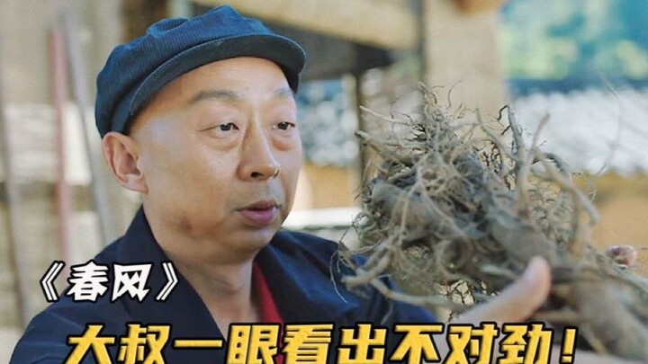 A crooked boss sold dead seedlings to villagers, only to be discovered by a tycoon who had been reti