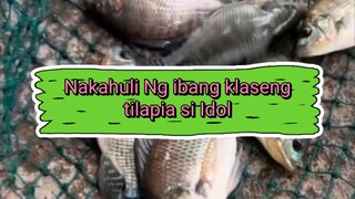 Nanghuhuli Ng Isda si Idol