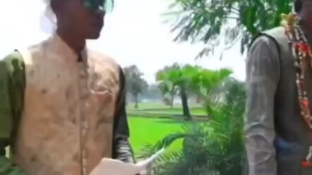 Video về hương vị Ấn Độ: Hiệu ứng cánh bướm