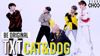 【TXT记录库】[BE ORIGINAL] TXT 'Cat & Dog'