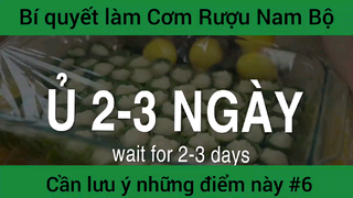 Bí quyết làm Cơm Rượu Nam Bộ cần lưu ý những điểm này phần 6