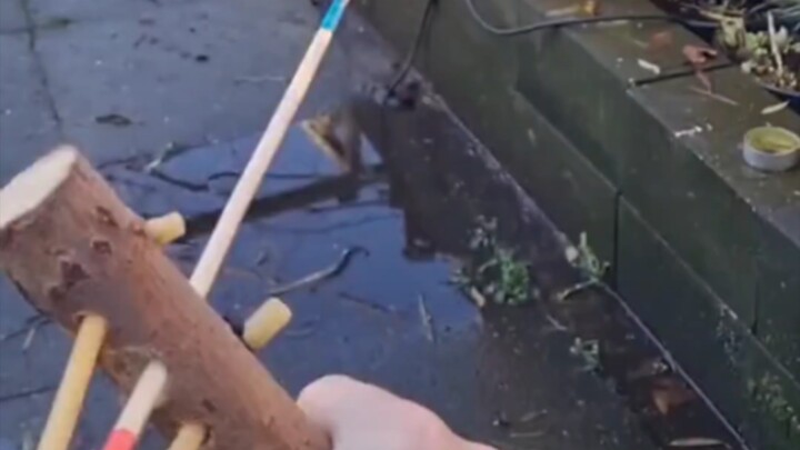 Classify disposable chopsticks as hazardous materials