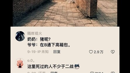 Saat memberi makan babi di halaman belakang rumah kampung, aku melihat adegan yang terasa begitu akr