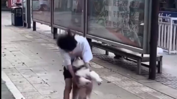狗子：咱们就各自安好吧！行吗？！