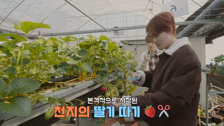 【NCT】ฉันจะเก็บทุกอย่างที่ดูน่ากินมาเลย 🍓💚 | เรื่องนั้นเรื่องนี้ของเฉินจื้อ ซีซั่น 3 ตอนที่ 1