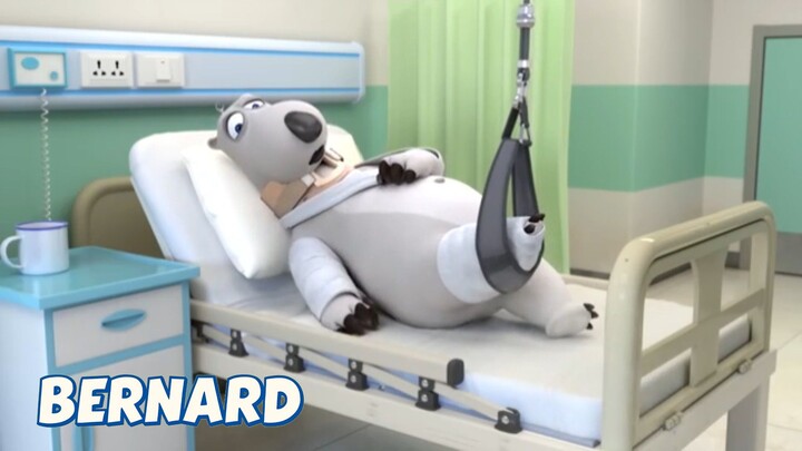 BERNARD BEAR || SIGNAL GOES BAD - CARTOON CHILDREN