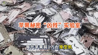 苹果「秘密实验室」喝光每台Phone必闯的关+要吃的苦❗️